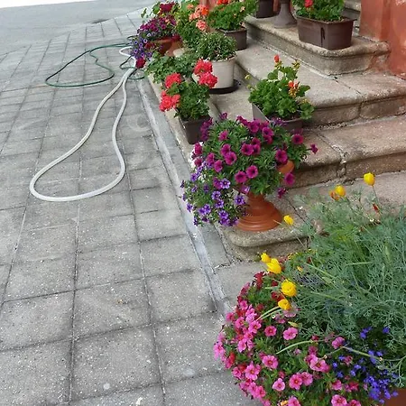 Evropa Františkovy Lázně